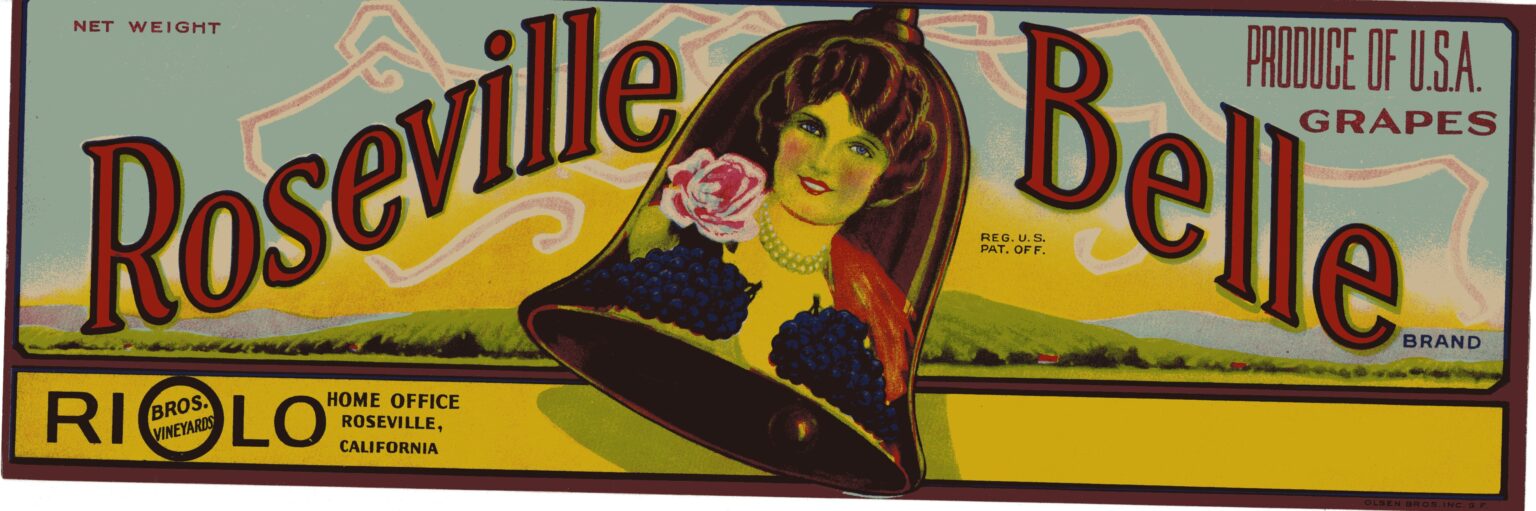 Roseville Belle